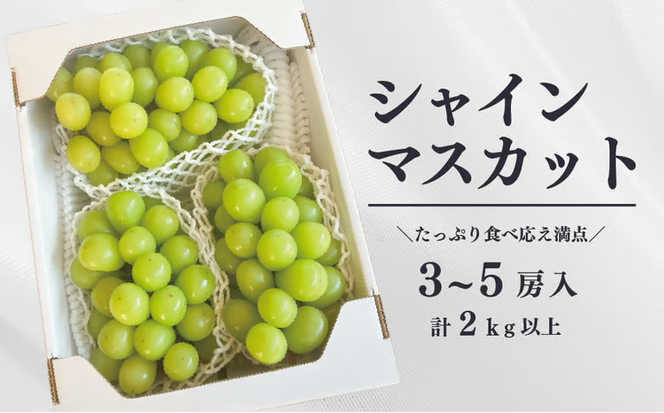 【2026年先行予約】ピオーネとシャインマスカット、たっぷり2kgの2回便！(定期便) (岡山県産)【KF-T005-04】