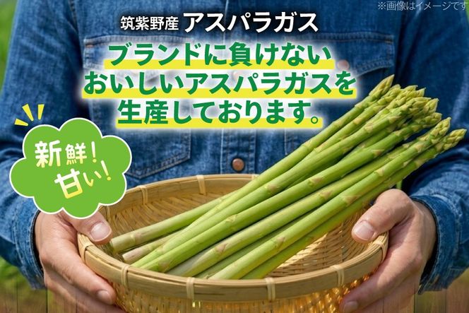 【期間限定発送】 アスパラ グリーンアスパラガス L 1kg [ファームいまむら 福岡県 筑紫野市 21761485] アスパラガス グリーンアスパラ 野菜
