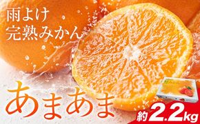 雨よけ完熟みかん「あまあま」選べる内容量 約2.2kg  正木　久之《12月下旬-1月中旬》徳島県 佐那河内村 みかん ミカン 蜜柑 柑橘 箱入り 化粧箱 フルーツ 果物 くだもの 贈答【配送不可地域あり】※離島不可---sanagouchi_mhy_1_1hk---