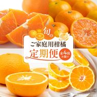 【発送月固定定期便】紀州和歌山産旬のご家庭用柑橘セット(みかん・不知火・せとか・清見)全4回 _G70-T01