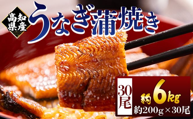 高知県産蒲焼きうなぎ ２００ｇ ３０尾 計６０００ｇ fb-0189