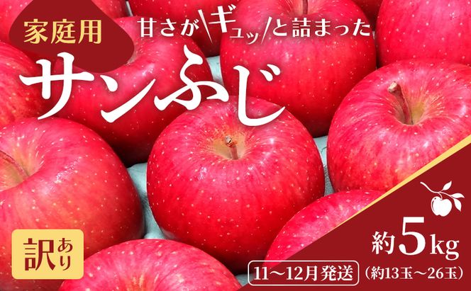 11～12月発送 家庭用 サンふじ 約5kg【訳あり】【原正りんご 青森県産 津軽産 リンゴ 林檎】 果物類 希少 葉取らず 完熟 安心 丸かじり 甘い 高糖度 