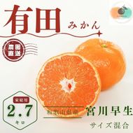 【ふるさと納税】【先行予約】有田みかん 早生 温州みかん 2.7kg（箱込み3kg） 家庭用 S～２Lサイズ 混合 柑橘 フルーツ みかん 産地直送 お取り寄せ 送料無料 温州ミカン 	FA06
