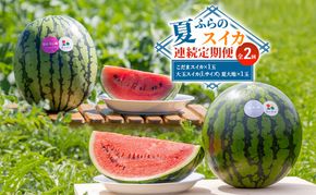 【夏ふらのスイカ連続定期便 全2回】2026年夏発送 こだまスイカ×1玉 大玉スイカ(Lサイズ) 夏大地×1玉 北海道 富良野産 すいか 西瓜 夏 フルーツ ふらの 甘い 糖度 大玉 ギフト (畠山農園）