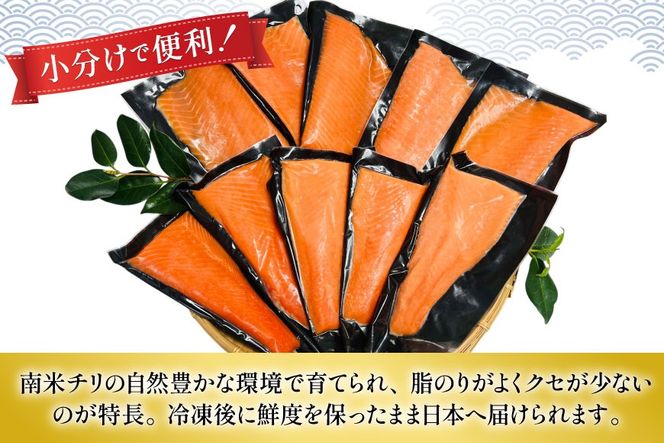 定期便 訳あり とろサーモン 刺身 5パック計1kg×12回 総計12kg 毎月 12回 定期 [たみこの海パック 宮城県 南三陸町 m304amh560077] サーモン 魚 魚介類 海鮮 さしみ 生食 鮭 さけ トラウト ハラミ トロ 冷凍 小分け