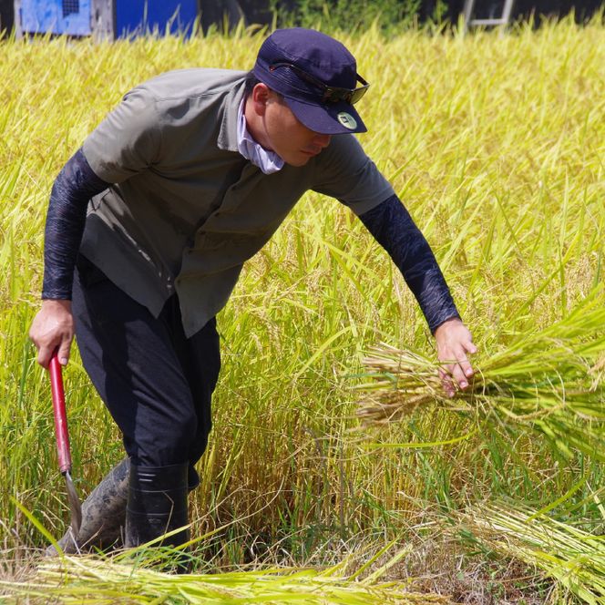 【令和7年産】正直米（特秀）2kg 特別栽培米 【おいしい おこめ 米 お米 精米 こしひかり コシヒカリ コンテスト 受賞 五つ星マイスター 特別米 2kg】(BC201)