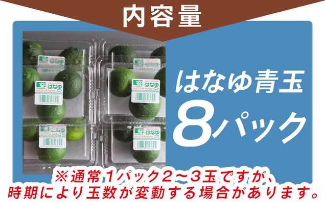 柚子 ＜2026年7月以降順次配送＞柚子 花柚子 虎弥太郎 はなゆ青玉 ８パック hy-0001
