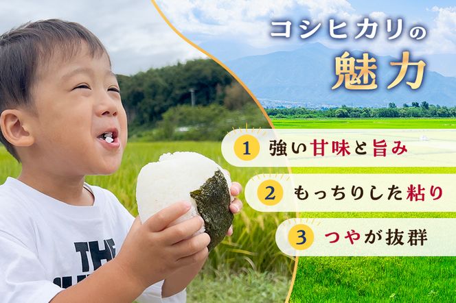 【予約】お米 令和8年度産静岡産コシヒカリ玄米 10kg 米 コメ こしひかり コシヒカリ 玄米 袋井市 静岡県