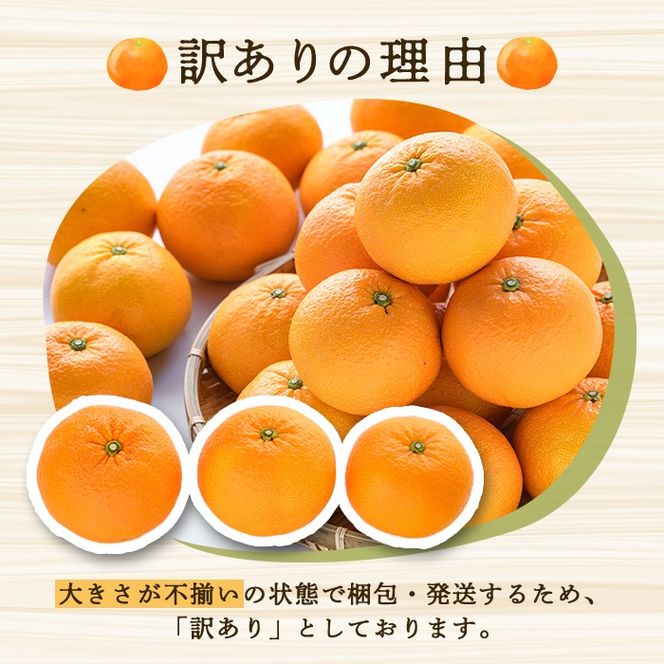 訳あり！紅甘夏(10kg) 国産 紅甘夏 柑橘 果物 フルーツ デザート 果実 期間限定 数量限定【古田果樹園】akn093-04