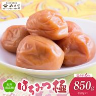 YD1006_紀州南高梅はちみつ極塩分約6％（850ｇ）