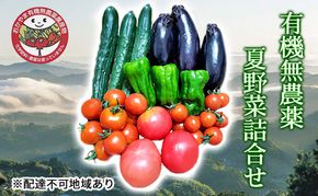 2026年 早期受付 夏野菜 詰め合わせ おかやま 有機無農薬 農産物 野菜 セット 