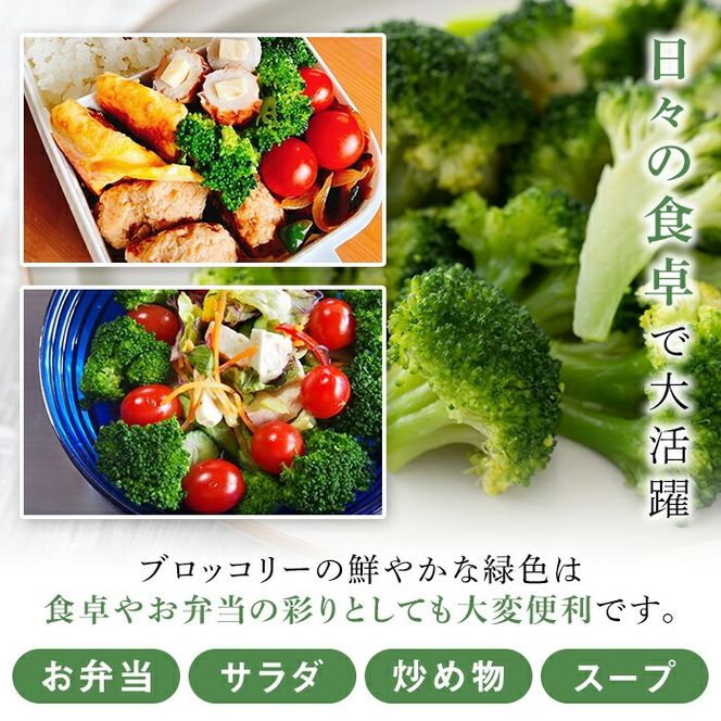 鹿児島県産冷凍ブロッコリー(合計2kg・約250g×8袋) 大容量 国産 野菜 冷凍 冷凍野菜 小分け【合同会社グッドフィールド】akn056-10