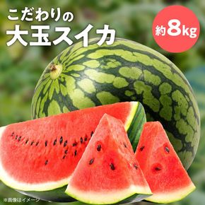 スイカ1玉(約8kg級) N0195-YA3403