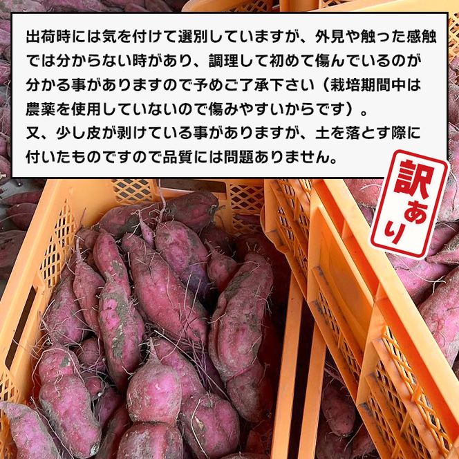 【訳アリ】淡路島産サツマイモ 5kg【栽培期間中、無農薬栽培】焼き芋・スイーツ作りに