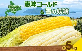 北海道 月浦 めぐみ ゴールド 雪の妖精 5kg 先行受付 2026年8月中旬～9月中旬頃お届け とうもろこしトウモロコシ とうきび コーン 恵味 旬 野菜 朝採り 産地直送 青山農園