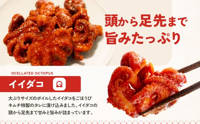 【ごほうびキムチ】イイダコキムチ（5個入り×1袋）【 キムチ 神奈川県 小田原市 】 142069_FZ011