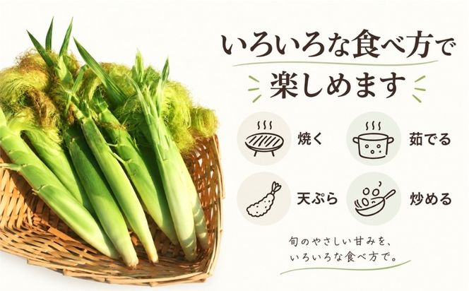 【ふるさと納税】	【2027年 先行予約】もぎたて発送！山梨県産 ヤングコーン 30本【栄養たっぷりヒゲ付き！】｜朝採れ もぎたて発送 ヒゲ付き 甘い 国産 とうもろこし トウモロコシ 野菜 産地直送 送料無料【炭香ファーム】FC004