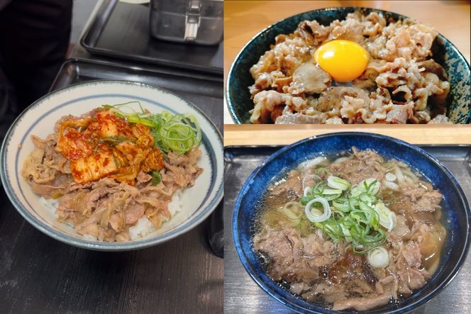 【A6-037】牛丼、肉うどんの具 5袋
