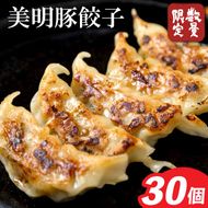 【2026年3月より順次発送】美明豚「びめいとん」のジューシー餃子 1パック(30個入り)｜餃子 ぎょうざ ギョウザ 美明豚 びめいとん 肉 肉加工品 豚肉 お肉 ジューシー 茨城県 行方市(HJ-5)