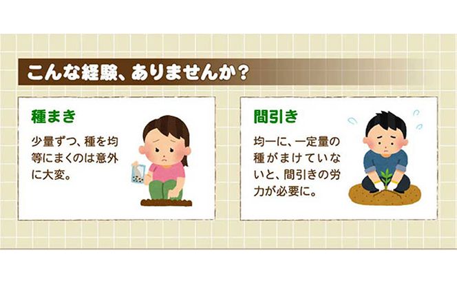 かんたん種まきセット 雑貨 日用品 ガーデニング 