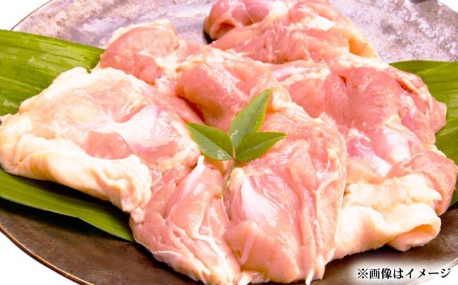 雲仙しまばら鶏 モモ肉 1kg / 肉 国産 鶏肉 とり肉 鶏もも肉 鳥もも肉 唐揚げ おかず 冷凍 / 南島原市 / OKファーム[SEK001]