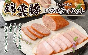 錦雲豚 バラエティ セット [小林食品 福岡県 宇美町 um40azo890001] ウィンナー ハム 角煮 バストラミローフ きんうんとん