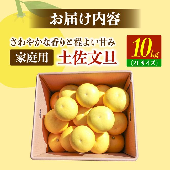 【先行予約】土佐文旦の創始 宮地文旦園の土佐文旦 家庭用2L 約10キロ 20～22個入り 10kg〈2027年3月上旬～4月下旬〉 ぶんたん ブンタン フルーツ 柑橘 みかん 果物 くだもの 柑橘類 デザート 高知県 土佐市【宮地文旦園】[BQBP006]