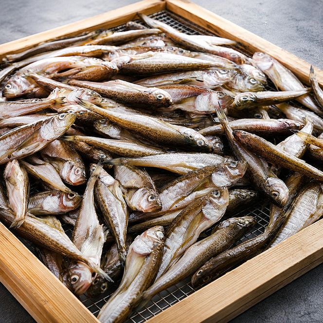 丸々太ったハタハタさん。ハタハタ 一夜干し 丸干し お取り寄せ 産地直送 食品 干物 食べ物 おつまみ 魚貝類 干物 贈り物 プレゼント 家庭用  myz02 myz11 myz17