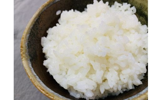 令和7年産　近江米　コシヒカリ【10kg（5kg×2袋）】環境こだわり米【AB62W】