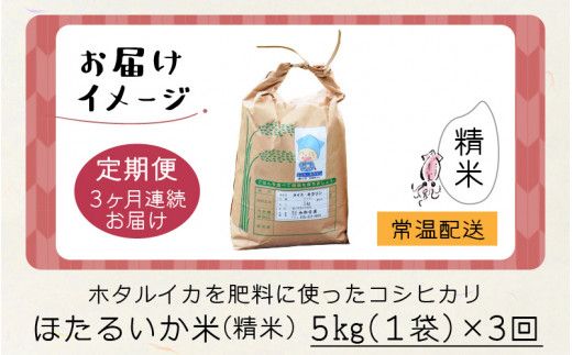 ほたるいか米（精米５kg）×3回 計15kg【3ヶ月定期便】