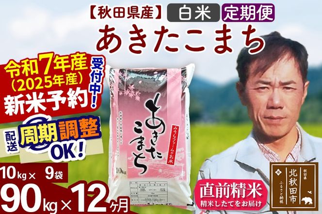 ※令和7年産 新米予約※《定期便12ヶ月》秋田県産 あきたこまち 90kg【白米】(10kg袋) 2025年産 お届け周期調整可能 隔月に調整OK お米 みそらファーム|msrf-11612