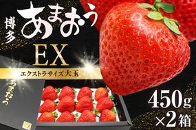 1月より順次発送!「博多あまおう」EX　贈答用化粧箱　約450g 2箱【ほたるの里】_HA0753