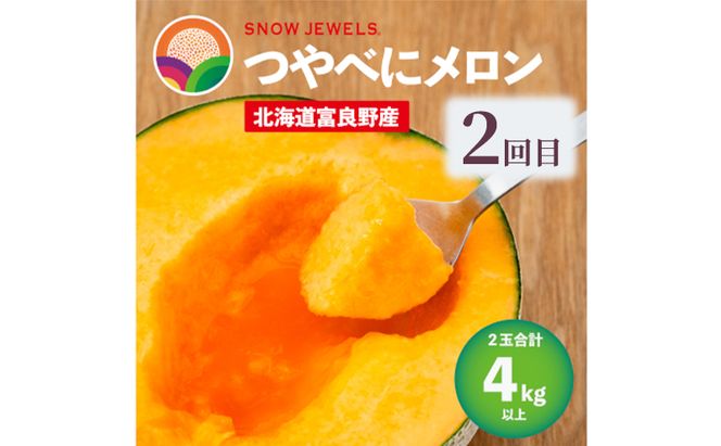 【定期便3回】富良野の夏を独り占め！富良野メロン×至福のアイス "とろける定期便" メロン 赤肉 大玉 果物 アイス アイスクリーム デザート おやつ ご褒美 冷凍 定期便 産地直送【2026年夏～発送】