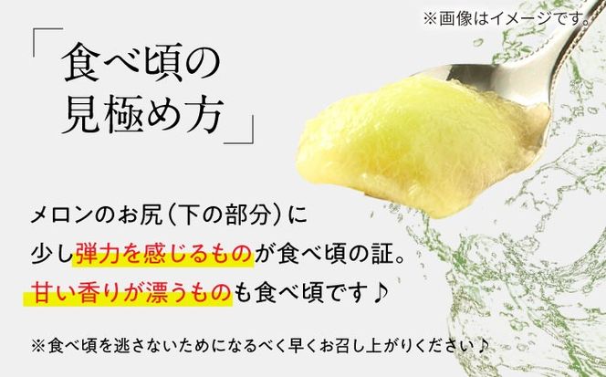 【2026年4月下旬〜発送】【4回定期便】メロン 4種 食べ比べ / プリンスメロン イエローキング タカミレッド タカミメロン / メロン めろん フルーツ 果物 / 南島原市 / 南島原果物屋[SCV045]