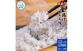 【CF-R7hbk】t187mmk　〈12ヶ月定期便〉訳あり 釜揚げシラス 80g×10個 定期便 定期コース 12ヶ月 しらす シラス 釜揚げ 新鮮 塩分控えめ 離乳食 わけあり ワケあり 不揃い しらす丼 海鮮丼 お茶漬け