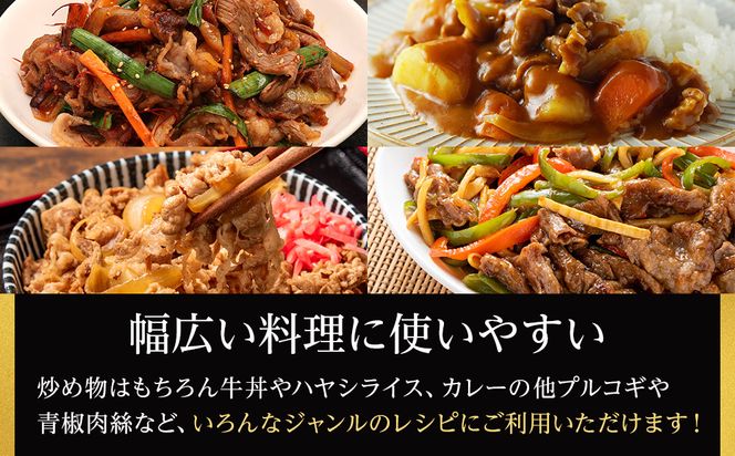 A5・A4ランク　石川県産　黒毛和牛　切り落とし700g　能登牛 172111_CD003