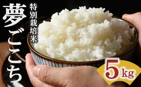 夢ごこち＜特別栽培米＞精米 5㎏（減農薬 有機肥料 お米 米 おこめ こめ 白米 ゆめごこち）【002313A】