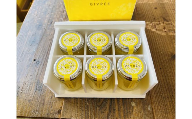 湘南ゴールドゼリー6個セット 142069_HY005