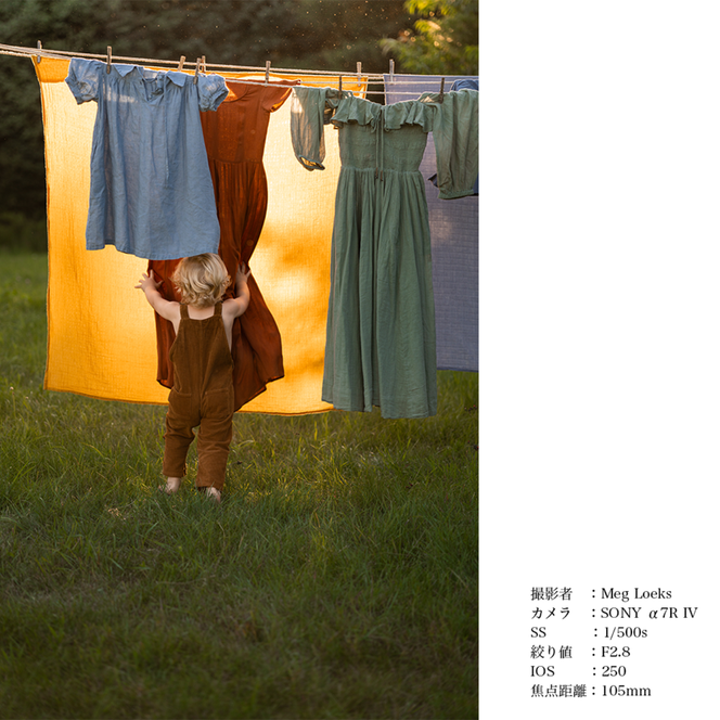 SIGMA 28-105mm F2.8 DG DN | Art【ソニーEマウント】（数量限定）