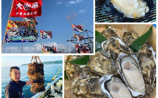 北海道 仙鳳趾名産 牡蠣 100g～149g×25コ＋かきナイフ付き 昆布森の昆布のセット かき漁師直送 K1-2＜出荷時期：2025年10月以降 順次出荷＞＜センポウシ : 釧路町の東 厚岸湾の西 カキの名産地＞ 生牡蠣 絶品 産地直送 北海道 釧路町 釧路超 特産品 121-1266-38