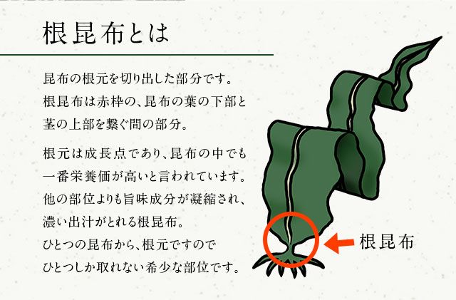 北海道礼文島産 根昆布 900g（300g×3個） 魚貝類 こんぶ 