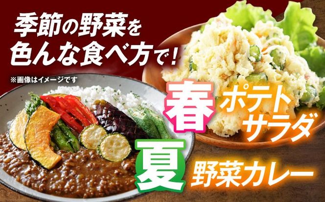 愛西市産 あいちのかおり4.5kgと旬の季節野菜詰め合わせ 精米 お米 野菜 愛西市 / お米の三輪[AECM002]