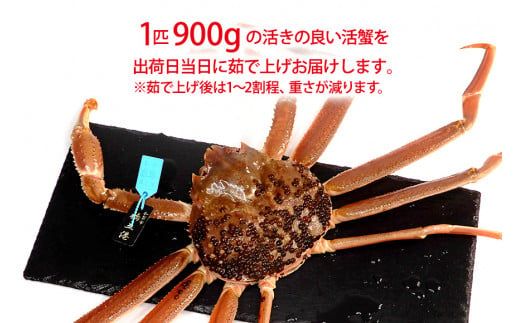 【1月11日～3月31日発送】石川県産 加能かに ズワイガニ ( 産地証明タグ付 ) 茹で上げ前重量 約900g 1匹 特大サイズ F6P-3460