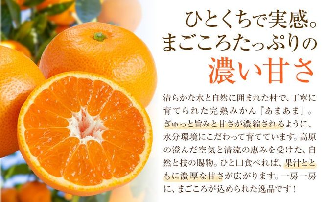 雨よけ完熟みかん「あまあま」選べる内容量 約2.2kg  正木　久之《12月下旬-1月中旬》徳島県 佐那河内村 みかん ミカン 蜜柑 柑橘 箱入り 化粧箱 フルーツ 果物 くだもの 贈答【配送不可地域あり】※離島不可---sanagouchi_mhy_1_1hk---