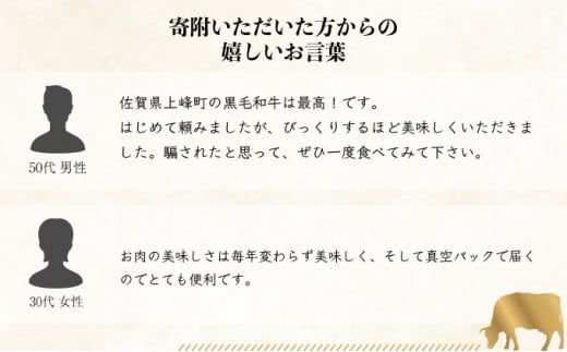 120gｘ10枚【佐賀牛】ヒレステーキ H-329