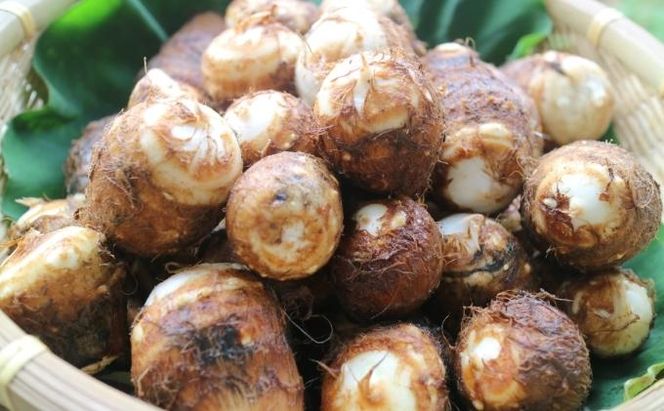 里芋 冷凍 小分け 絹里芋 220g 3パック 兵庫県産 野菜 根菜 粘り 一口サイズ 皮むき おつまみ 時短 おでん 煮物 おせち 味噌汁 冷凍野菜 栽培期間中農薬不使用 冷凍配送 取り寄せ 国産 さといも 個包装