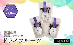 美濃山県元気ファームのドライフルーツかじゅえりー　ブルーベリー  [No.1103]