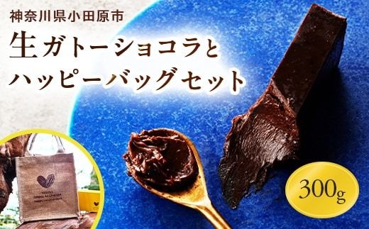 極上の口溶けと濃厚な味わいの"生"ガトーショコラ(300g)とハッピーバックのセット[チョコレート 特濃厚 濃密な味わい 極上の口溶け 極上のチョコレート 一流の料理人 カカオの風味やコク カカオ 至極の逸品 神奈川県 小田原市 ]