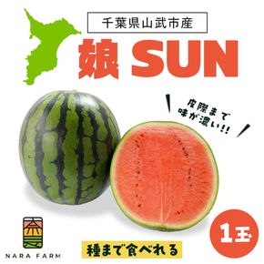 【先行予約・2027年6月下旬頃より発送】娘SUN 1玉 SMAF007