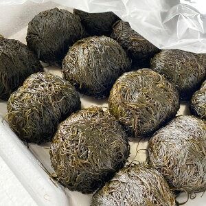 【ふるさと納税】山陰の海の幸 バラエティ セット 5種 ホタルイカ ほたるいか エテカレイ 鰈 カレイ かれい もずく モズク いか塩辛 イカ いか 塩辛 魚 おかず おつまみ つまみ 無添加 安心安全 手作業 国産 冷凍 兵庫県 新温泉町 送料無料